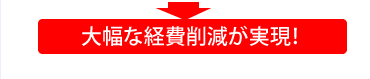 �啝�Ȍo��팸������